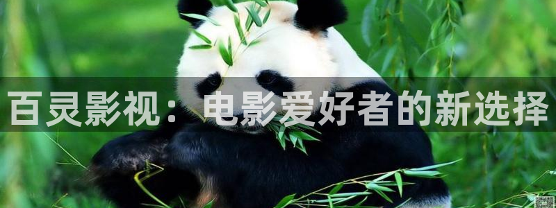 蜡笔小新第七季策驰影院