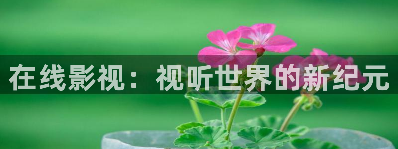 第七影院在线观看：在线影视：视听世界的新纪元
