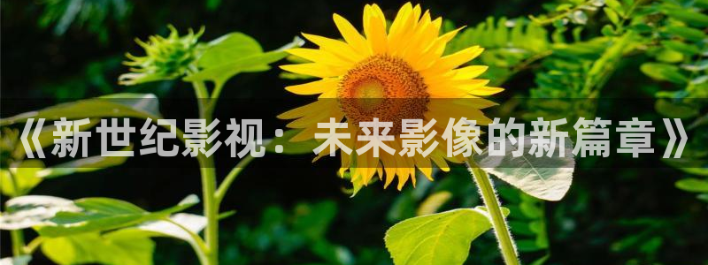 奔跑吧第七季免费观看完整版策驰影院：《新世纪影视：未来影像的新篇章》