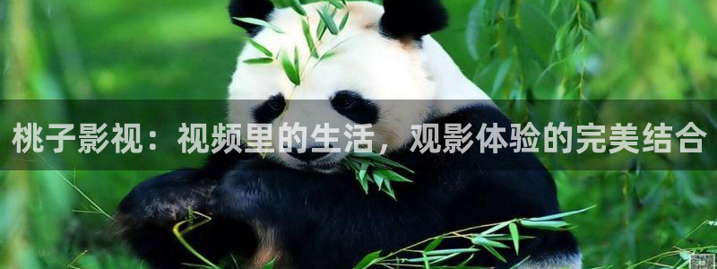 第七影院手机