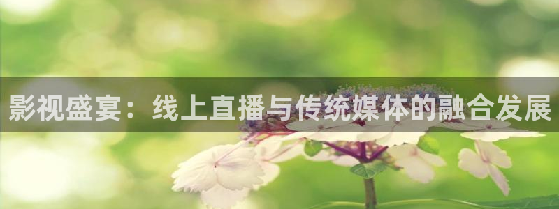 第七电影院官网：影视盛宴：线上直播与传统媒体的融合发展