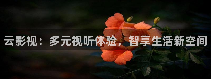 神马影院花花第七：云影视：多元视听体验，智享生活新空间