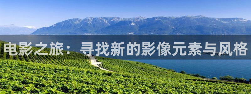 第七影院在线观看